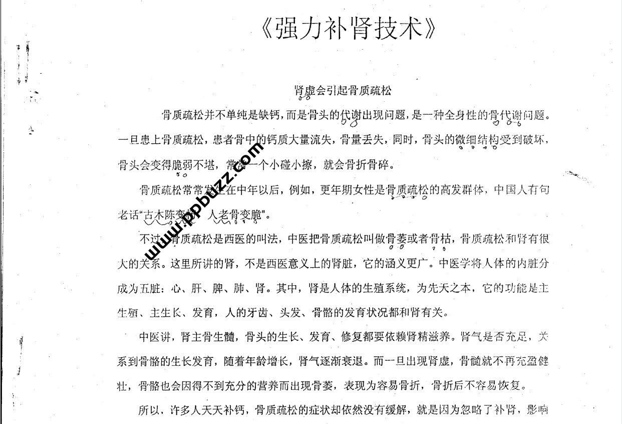 强力补肾技术.pdf